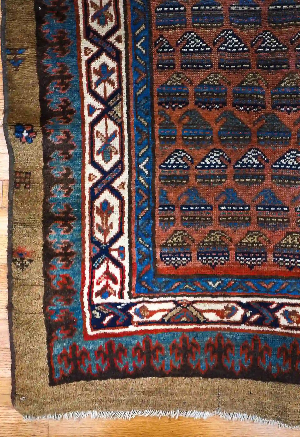 4′ x 9′ Persian Hashtroud(Camel hair) Rust Wool Runner Rug – Traditional Hand Knotted - 6 4′ x 9′ Persian Hashtroud(Camel hair) Rust Wool Runner Rug – Traditional Hand Knotted