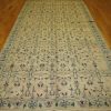 6′ x 12′ Turkish Beige All-Over Rug – Transitional Wool