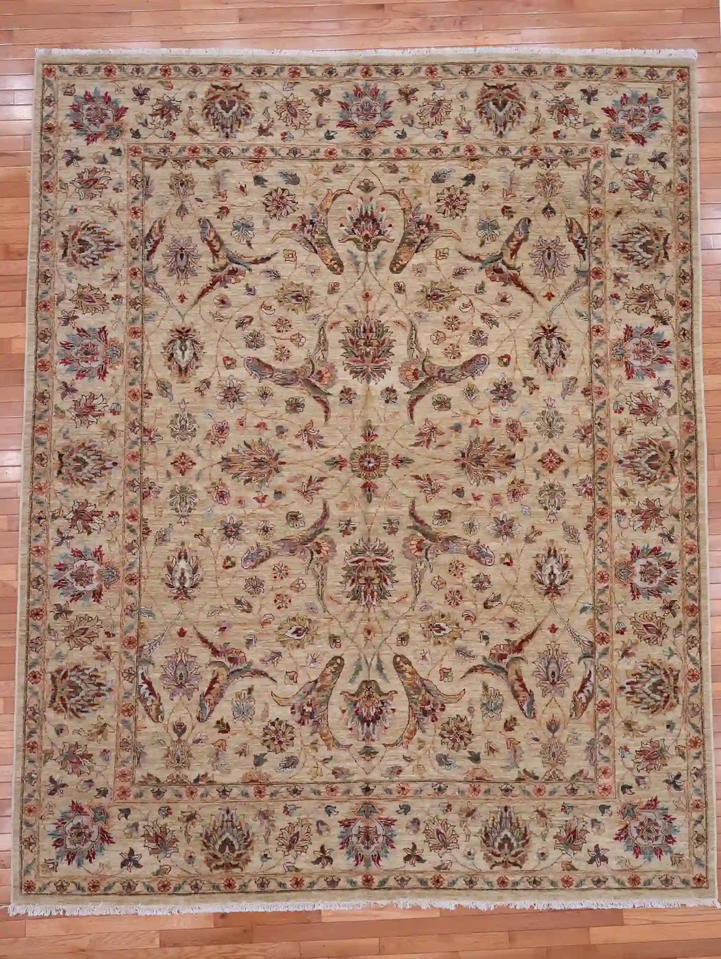 8′ x 10′ Ivory Fine Hand-Knotted Pakistan Oriental Rug – Traditional Wool