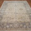 8′ x 10′ Pakistani Beige New Oriental Rug Transitional Wool