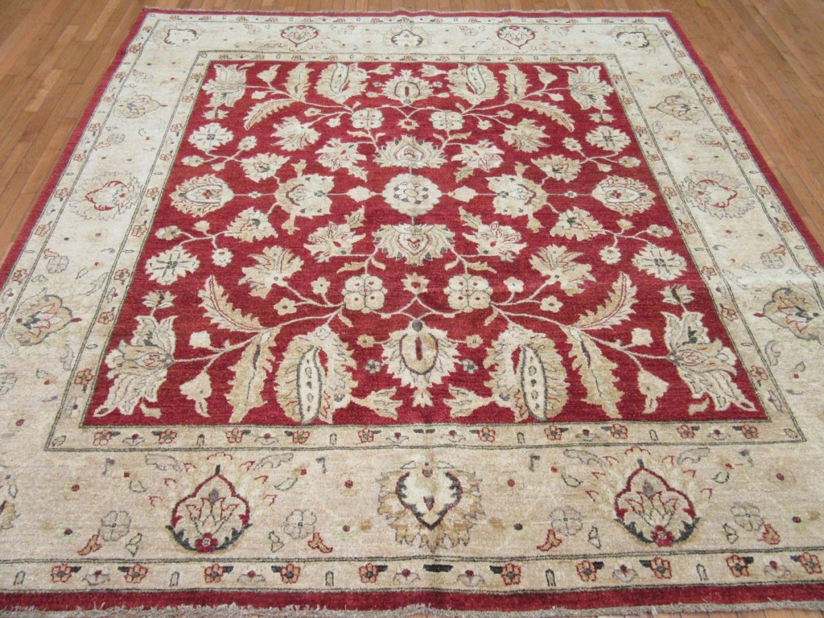 8′ x 9′ Pakistani Red New Oriental Rug Transitional Wool