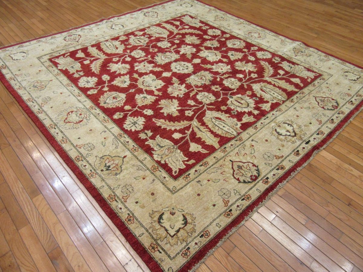 8′ x 9′ Pakistani Red New Oriental Rug Transitional Wool