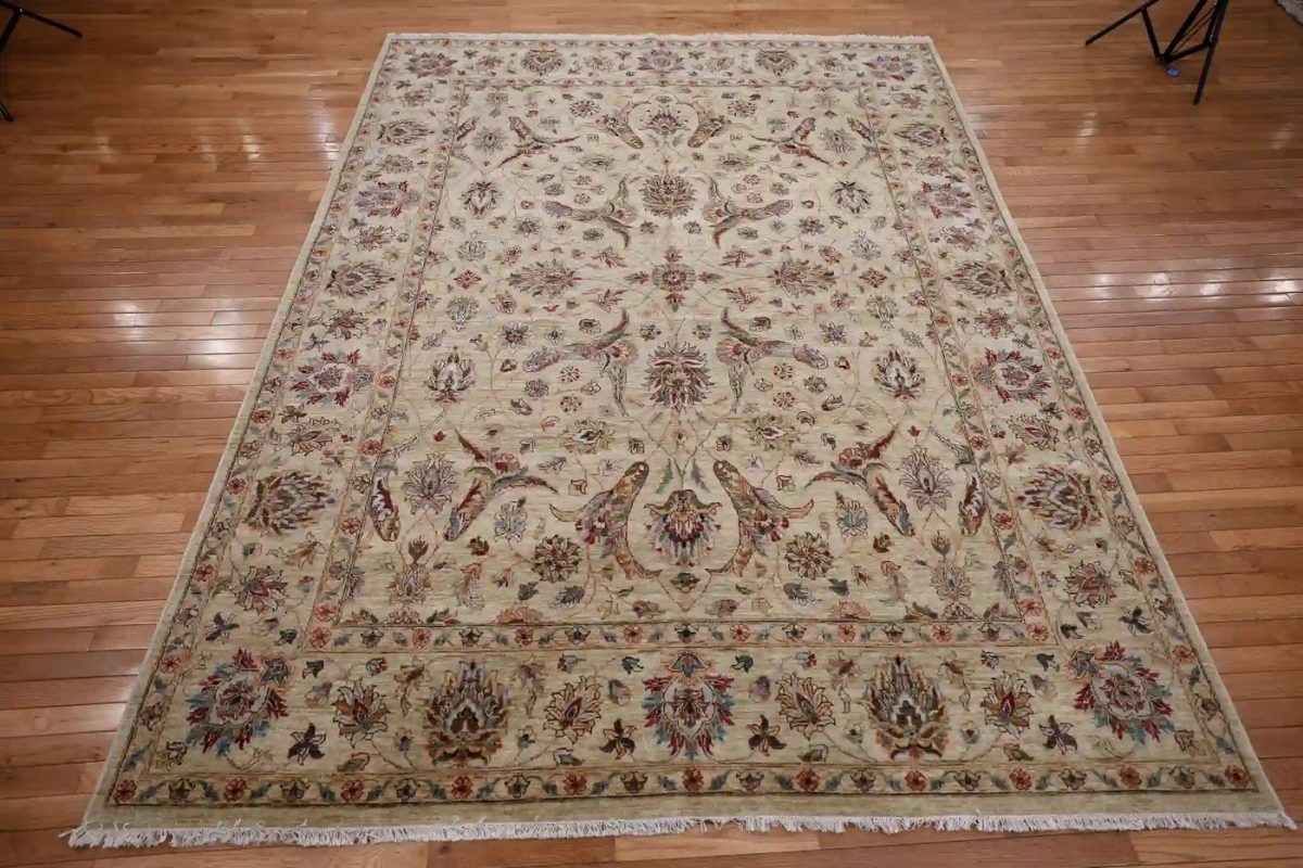8′ x 10′ Ivory Fine Hand-Knotted Pakistan Oriental Rug – Traditional Wool