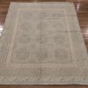 4′ x 5′ Sage Fine Hand-Knotted Pakistan Khotan Rug – Transitional Wool