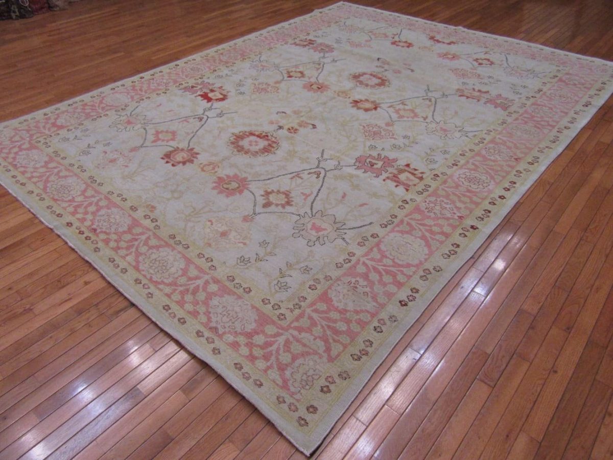 9′ x 12′ Beige Fine Hand-Knotted Egyptian Agra Oriental Rug – Traditional Wool
