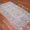 3′ x 6′ Turkish Ivory Blue Transitional Runner Rug