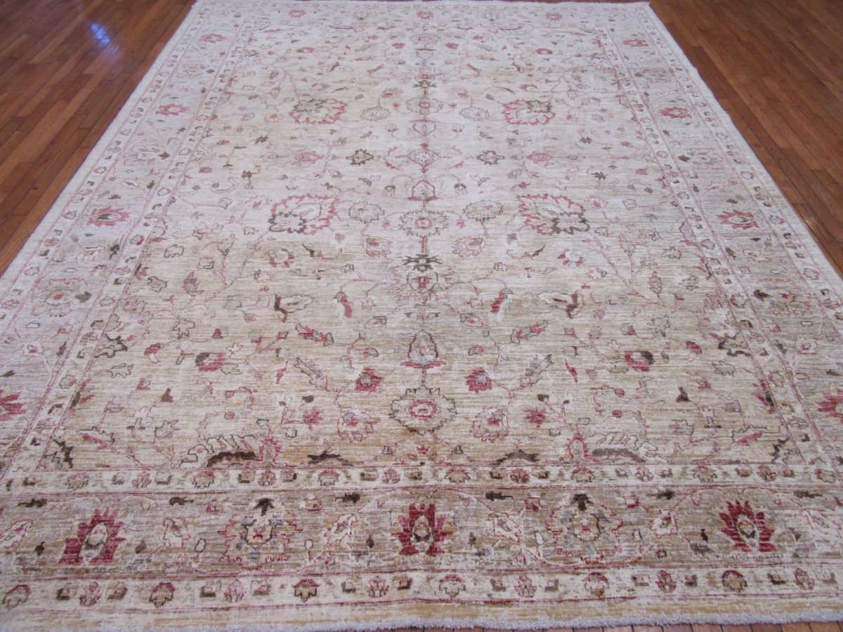 9′ x 11′ Pakistan Beige Sultanabad Rug Traditional Hand Knotted Wool