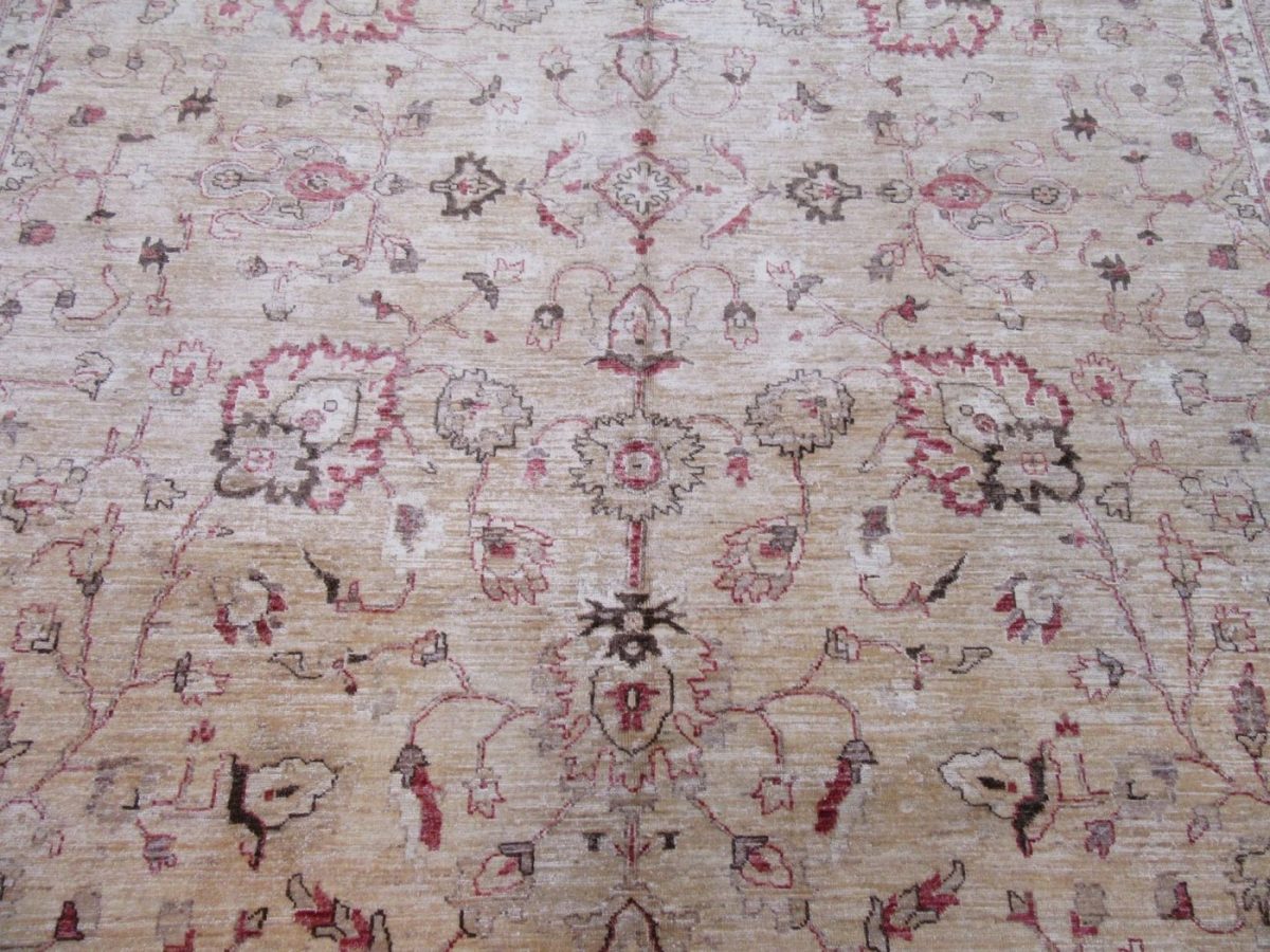 9′ x 11′ Pakistan Beige Sultanabad Rug Traditional Hand Knotted Wool