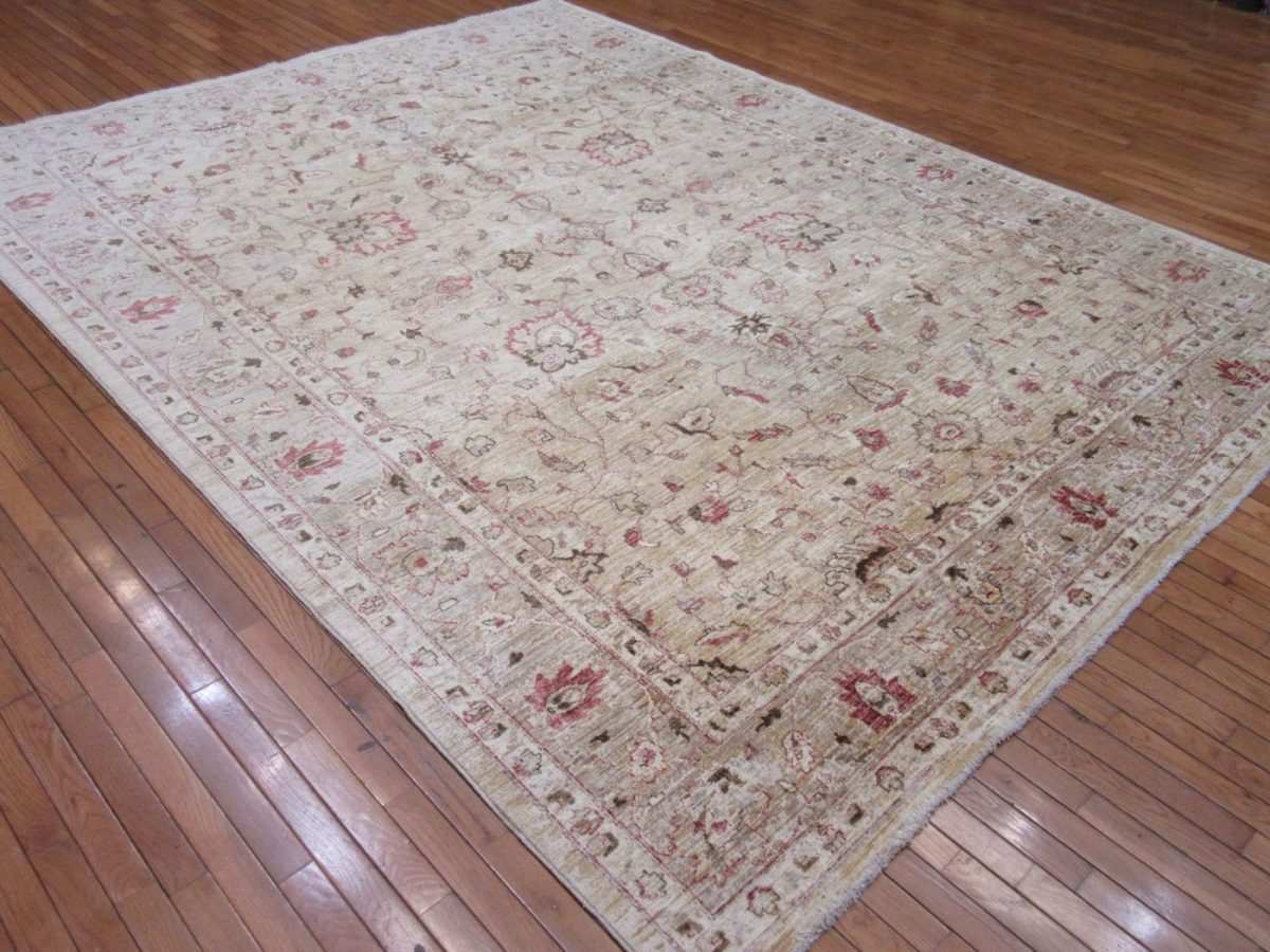 9′ x 11′ Pakistan Beige Sultanabad Rug Traditional Hand Knotted Wool