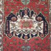 3′ x 21′ Indian Red Heriz Runner Rug – Hand-Knotted Wool - 2 3′ x 21′ Indian Red Heriz Runner Rug – Hand-Knotted Wool