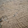 8′ x 10′ Beige Fine Hand-Knotted Indian Cologne Rug – Traditional Wool